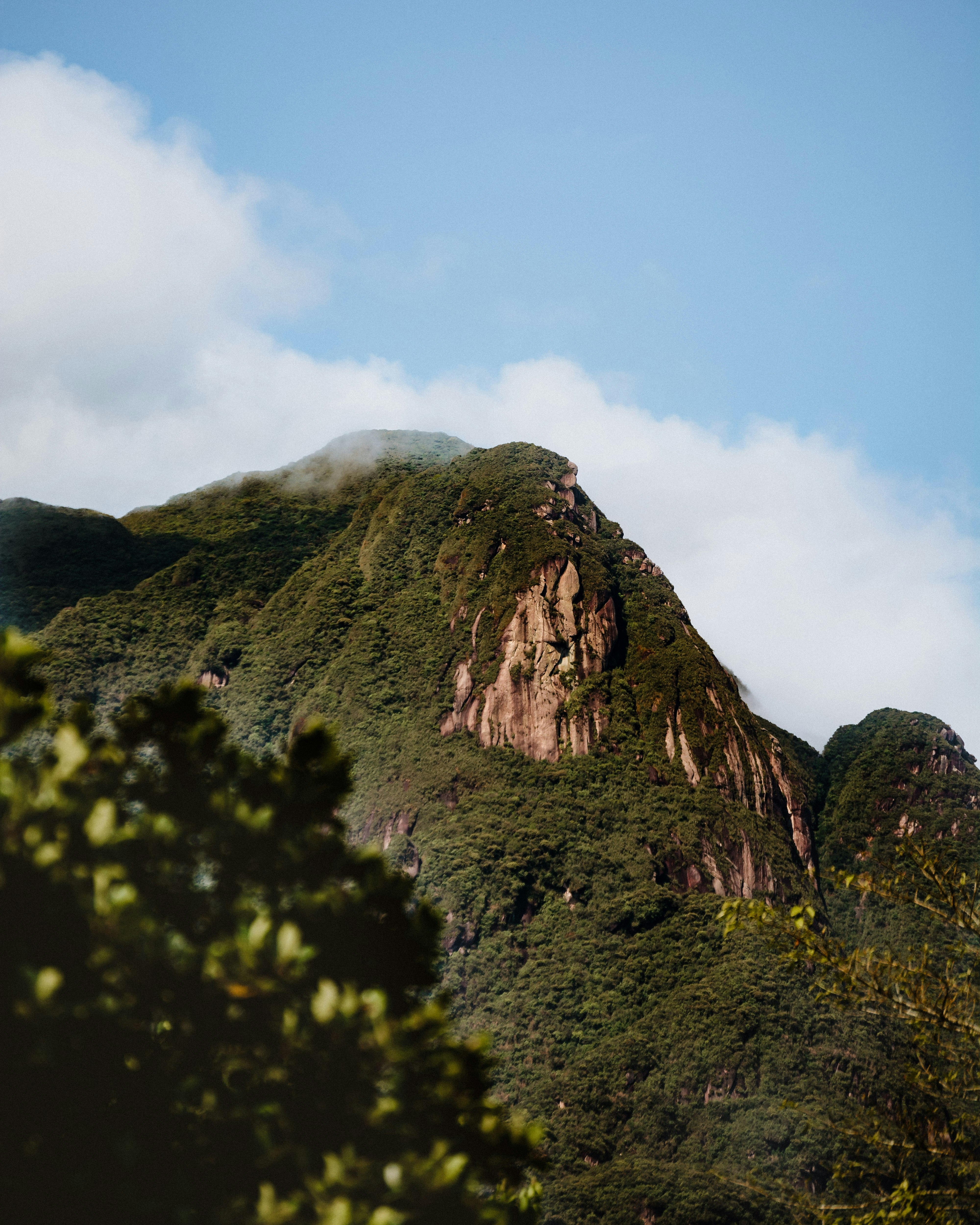 green trees on brown mountain under white clouds during daytime